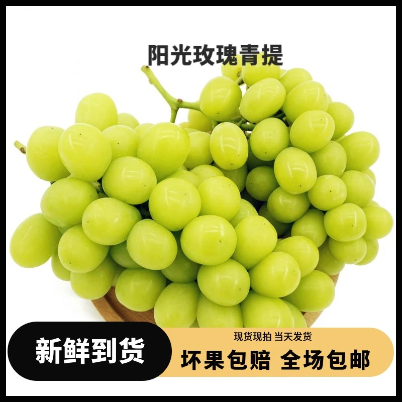 【阳光玫瑰】阳光玫瑰葡萄青提香甜新鲜水果
