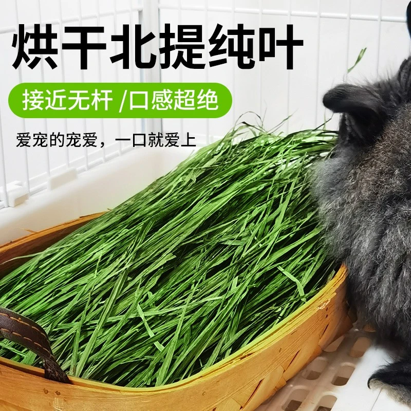 7A级烘干提摩西草纯叶几乎无杆适合挑嘴兔兔豚鼠龙猫食用北提500g