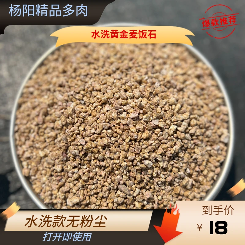 杨阳精品多肉（高品质）黄金软质麦饭石5斤升级款，精洗，晒干，精筛