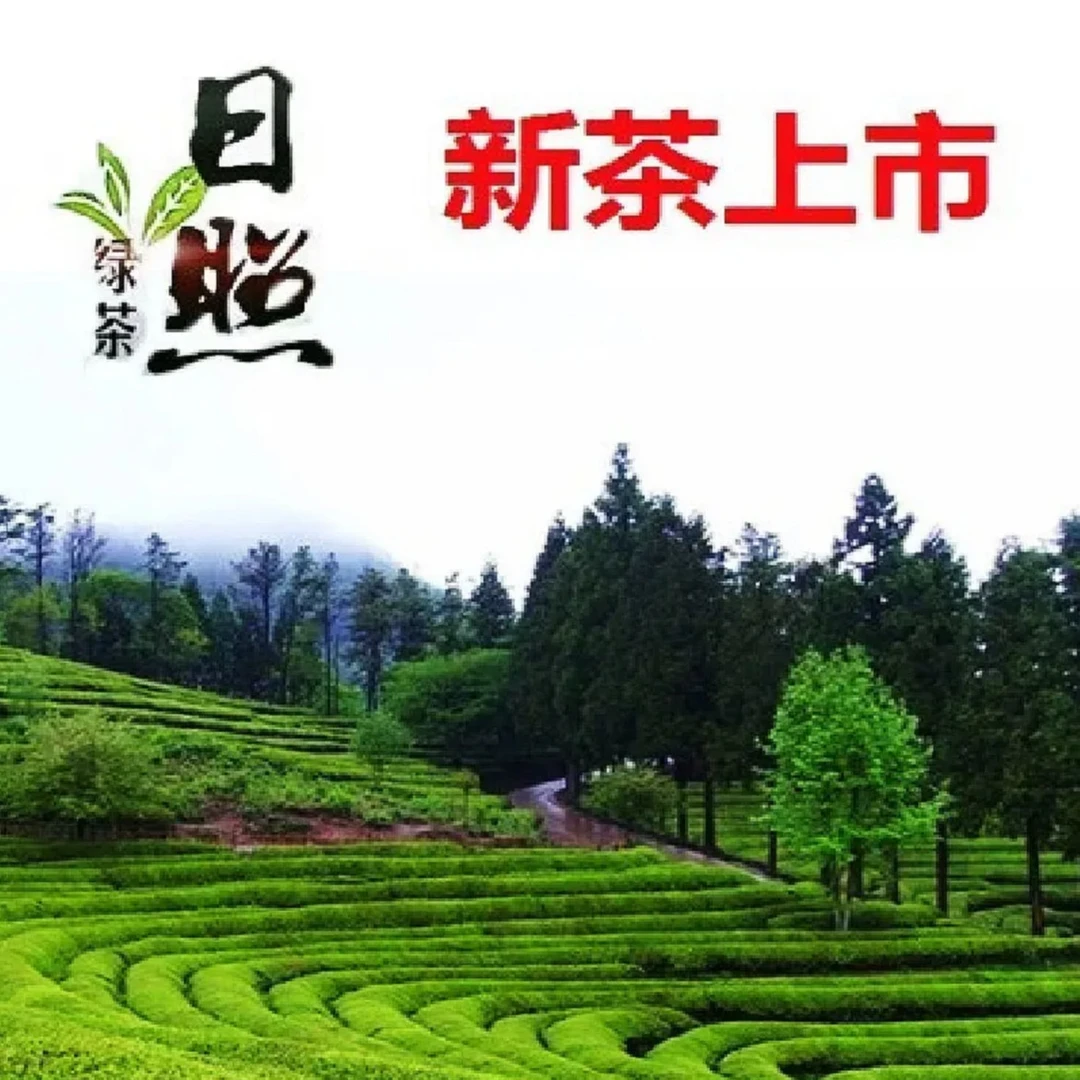 【日照冰凡绿茶/豆养春茶】128.168/豆香浓郁茶叶袋装礼盒