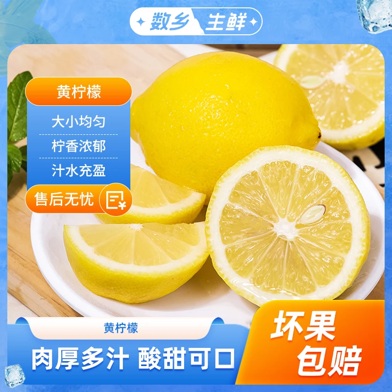 柠檬2斤/5斤装 新鲜种植产地直供酸甜多汁夏季水果饱满农家sss