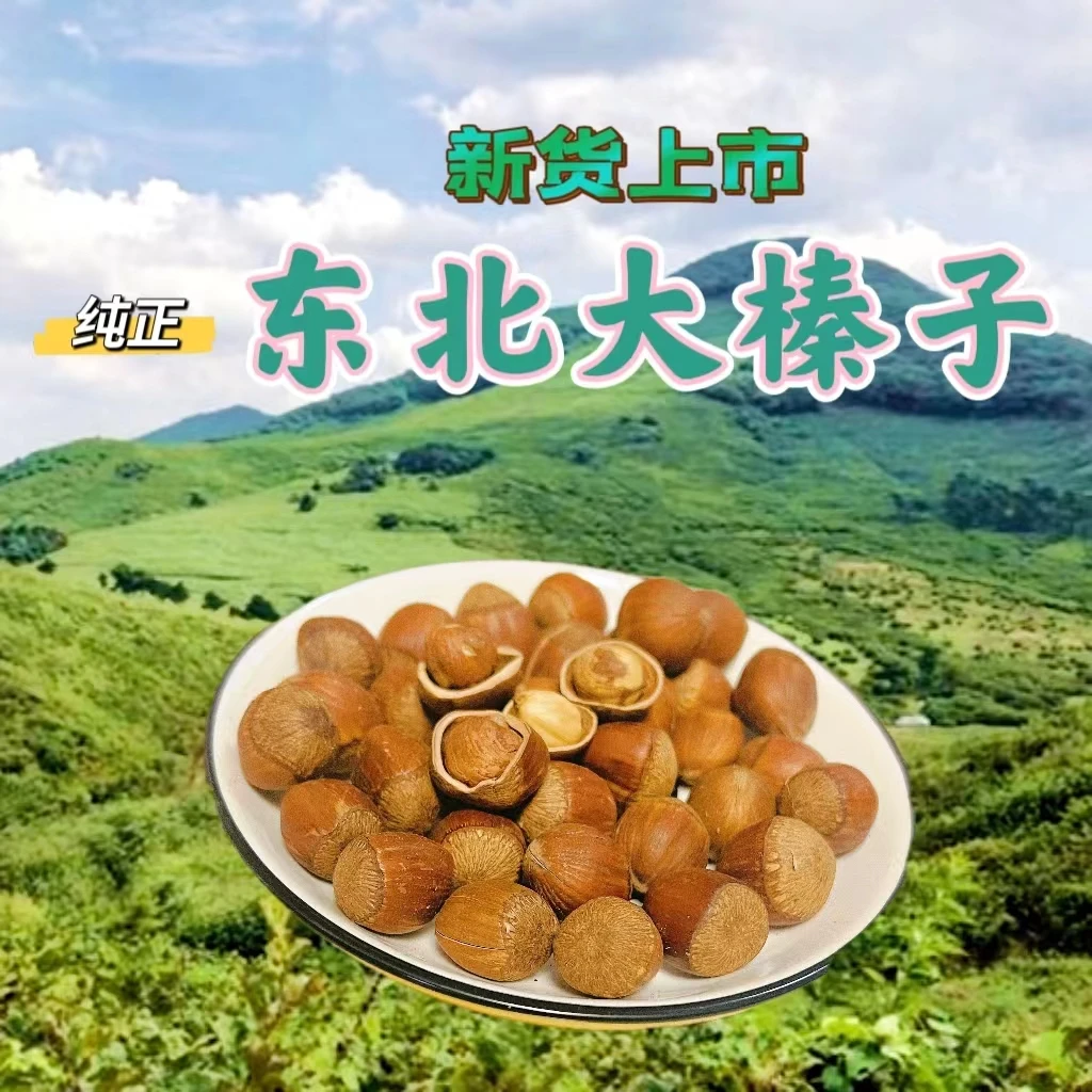 东北榛子 纯笨炒  达维大果 香甜酥脆