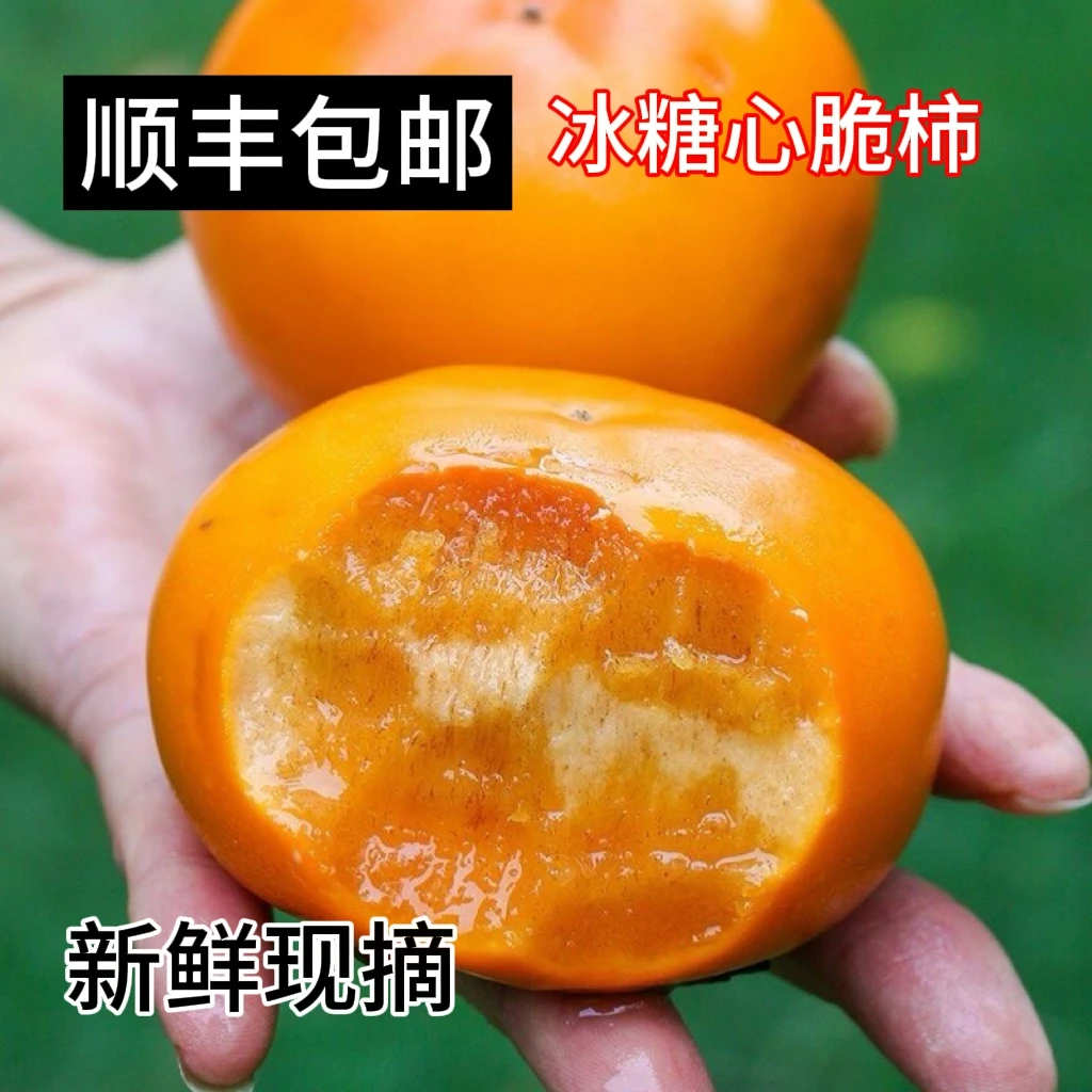 【顺丰包邮】巧克力脆柿子新鲜水果脆柿应季脆甜柿子冰糖心硬柿子