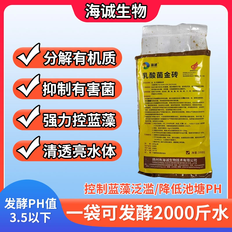 A《乳酸菌砖发酵金菌水产养殖预防蓝藻调节水质分解有机质改底拌料