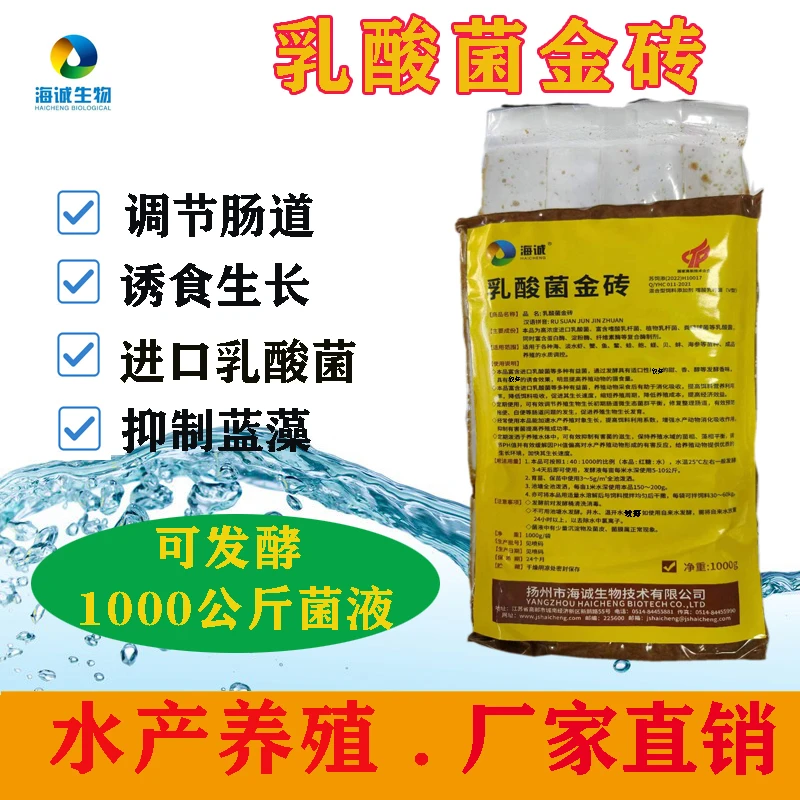 A【乳酸金菌  砖】水产养殖乳酸菌控蓝藻调PH拌料有益菌降解氨氮
