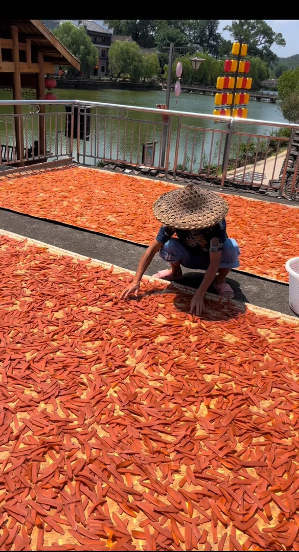 江西乐安流坑状元霉豆腐饼纯手工制作下酒下菜可生吃油炸香辣特色