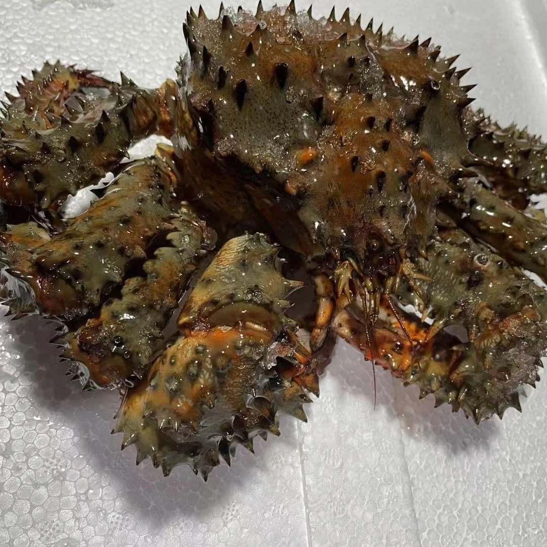 花椒帝王蟹500-1950g/只液氮机锁冻发货，介意勿拍
