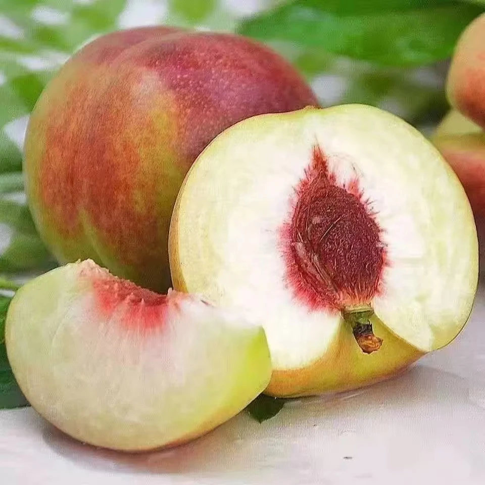 青州蜜桃脆甜桃子新鲜冬雪蜜桃水果青毛桃水蜜桃山东毛桃秋桃4