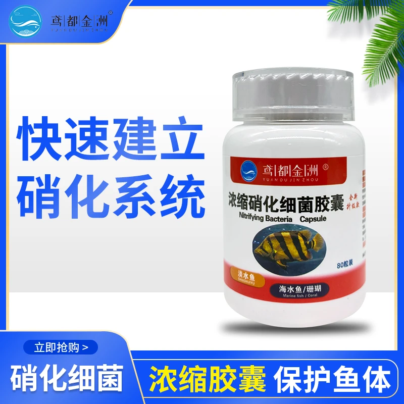 鸢都金洲 硝化细菌 鱼缸养鱼培菌开缸 降解氨氮水族净水胶囊