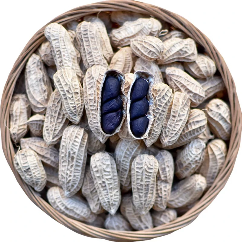 2025年新货云南黑花生老品种带壳薄壳小粒可做种子生的花生山货