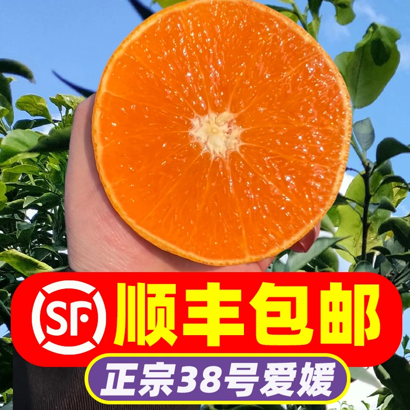 【顺丰包邮】爱媛38号果冻橙四川整箱新鲜当季水果柑橘桔手剥橙子2