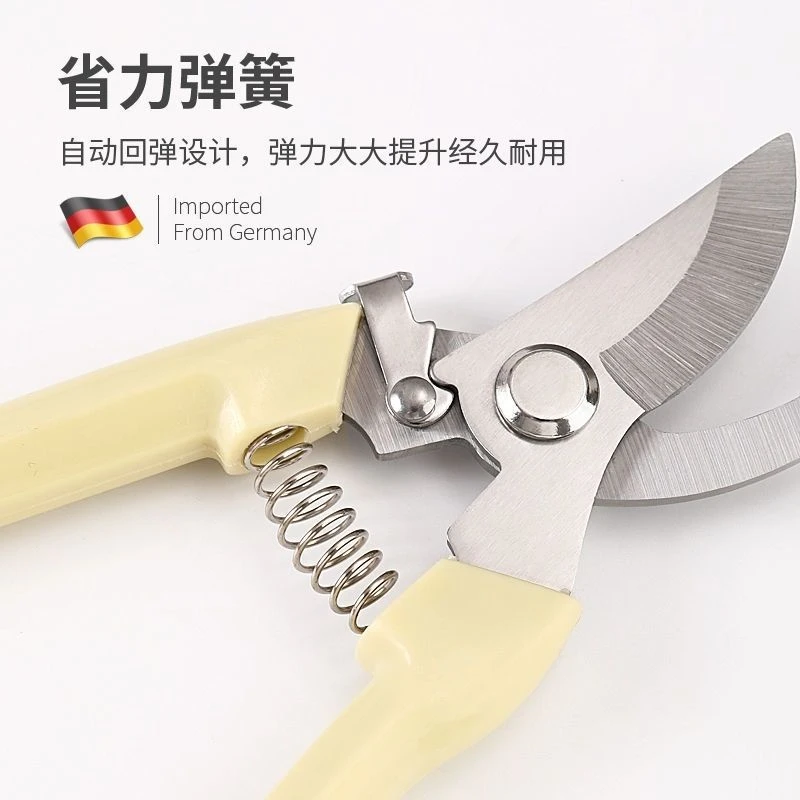 修枝剪剪树枝专用剪子园林园艺省力花枝剪果摘果剪粗枝果树修剪刀