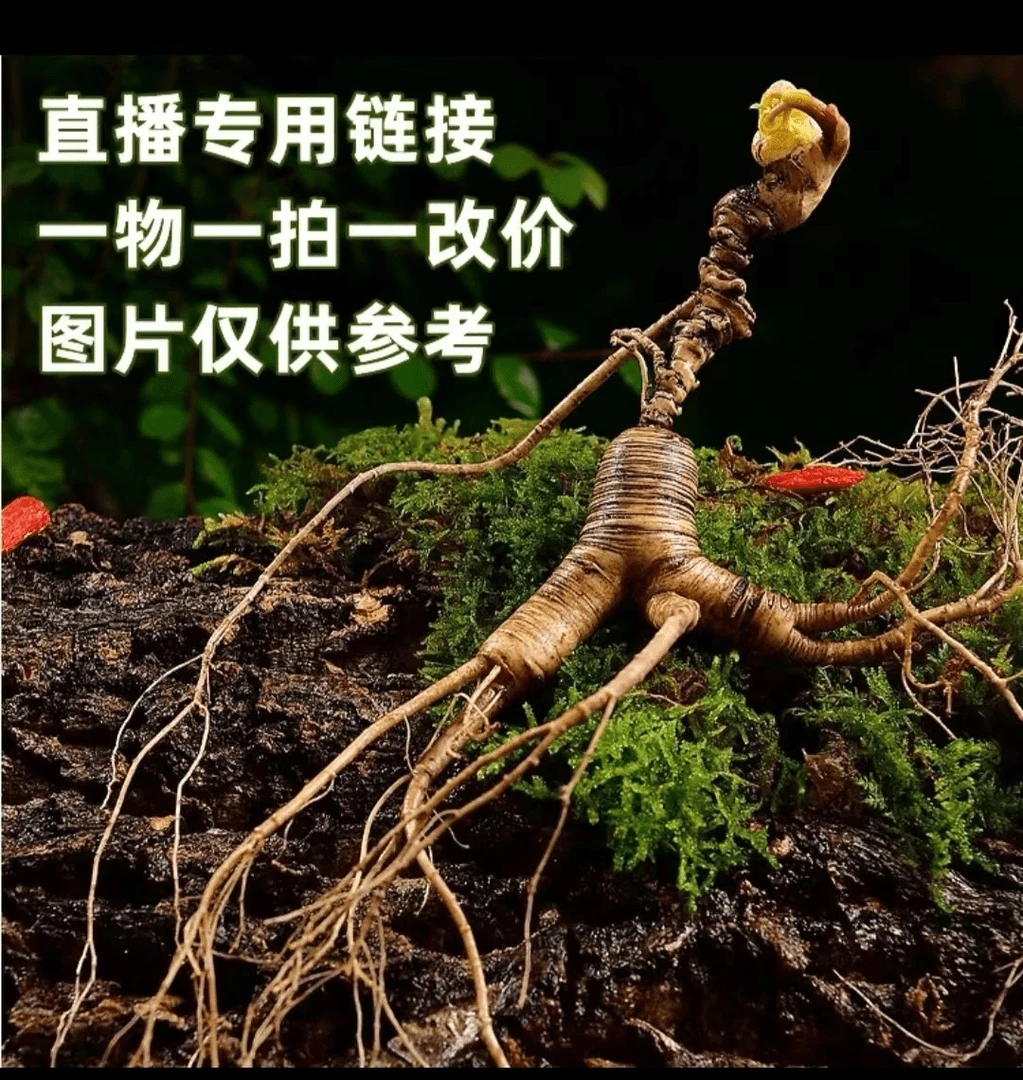 鲜人参（残参）直播改价专用链接实物以直播间为准有疤有锈有残瑕疵