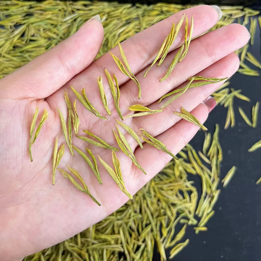 补贴款【小短芽黄金芽】明前2024高山小芽黄金芽 鲜爽回甘