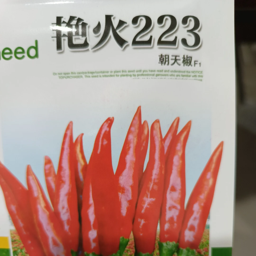 艳火223高辣辣椒营养肥籽