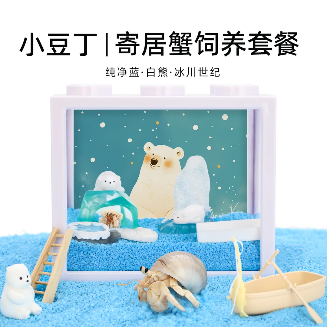 陌派【养宠装备】豆丁寄居蟹饲养套餐～饲养盒办公桌面萌宠儿童礼物
