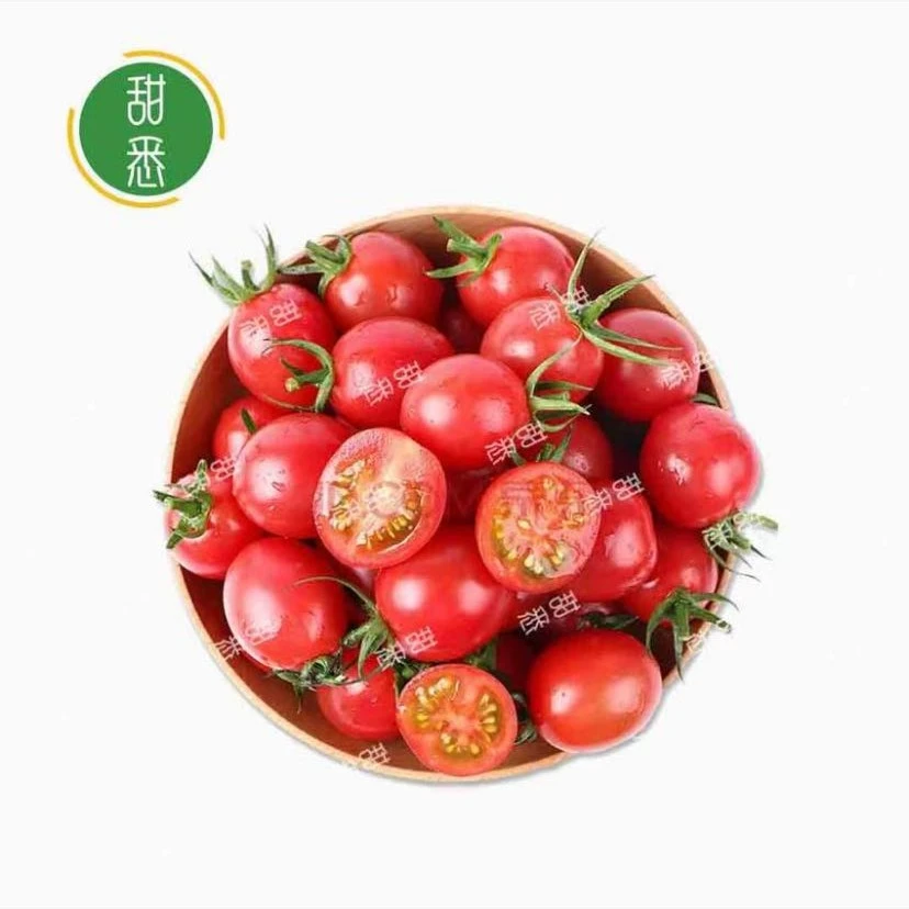 【整果】千禧圣女果250g/份番茄小番茄同城配