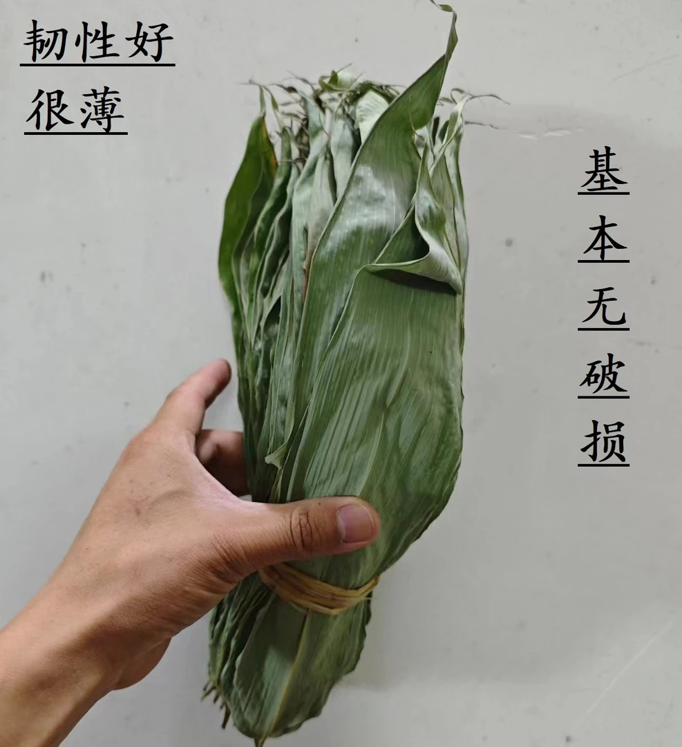 2025年烤干粽叶箬竹叶韧性好不容易破