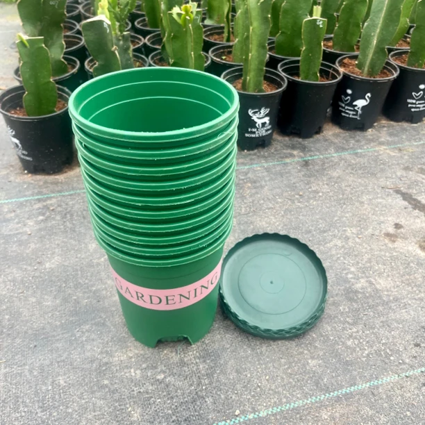 蟹爪兰专用花盆塑料加仑盆耐用美观