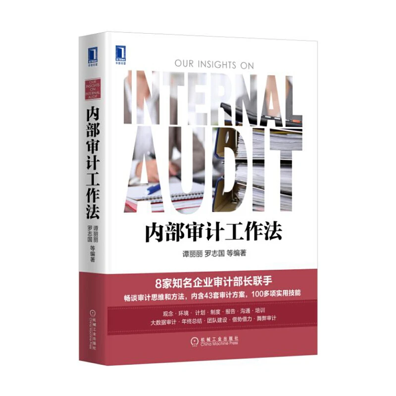 内部审计工作法+word版内部审计案例63则