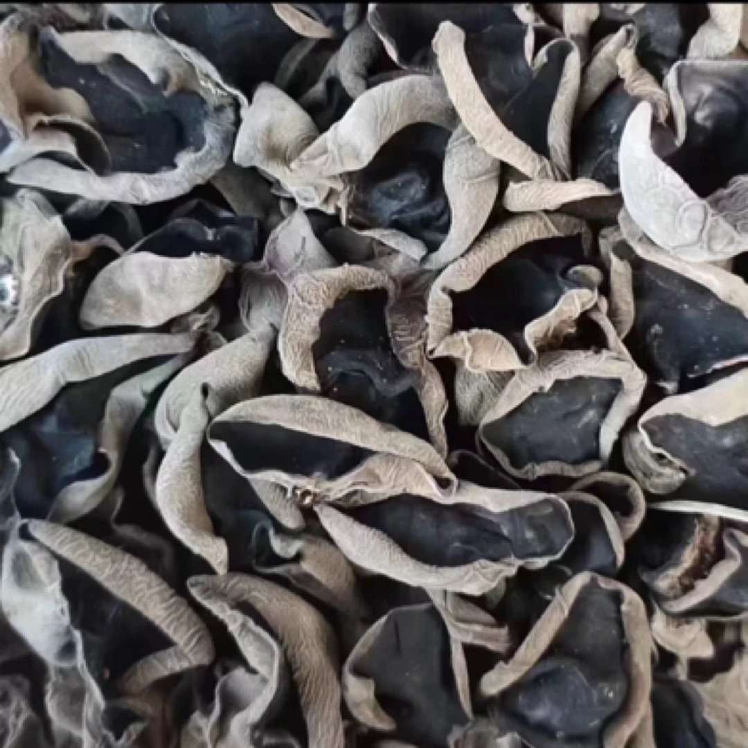 【二狗专属】自产黑木耳