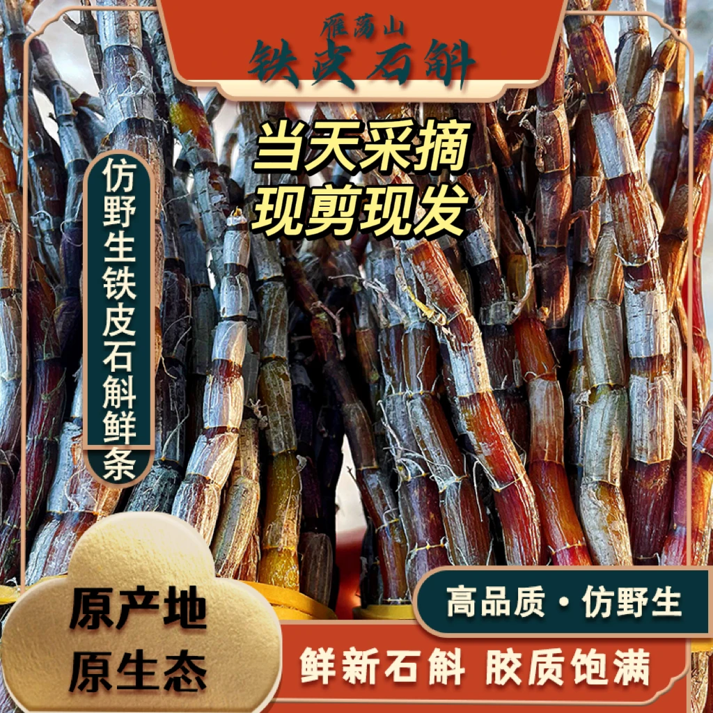 雁荡山露天铁皮鲜条原生态梨树现剪现发裸根植物石斛煲汤煮茶吸收