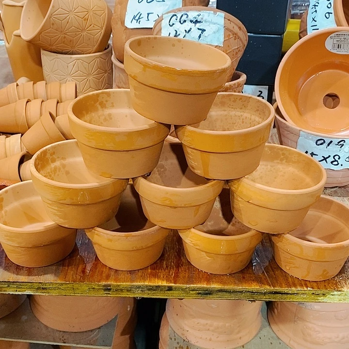 红陶20CM以下2-9×6十个