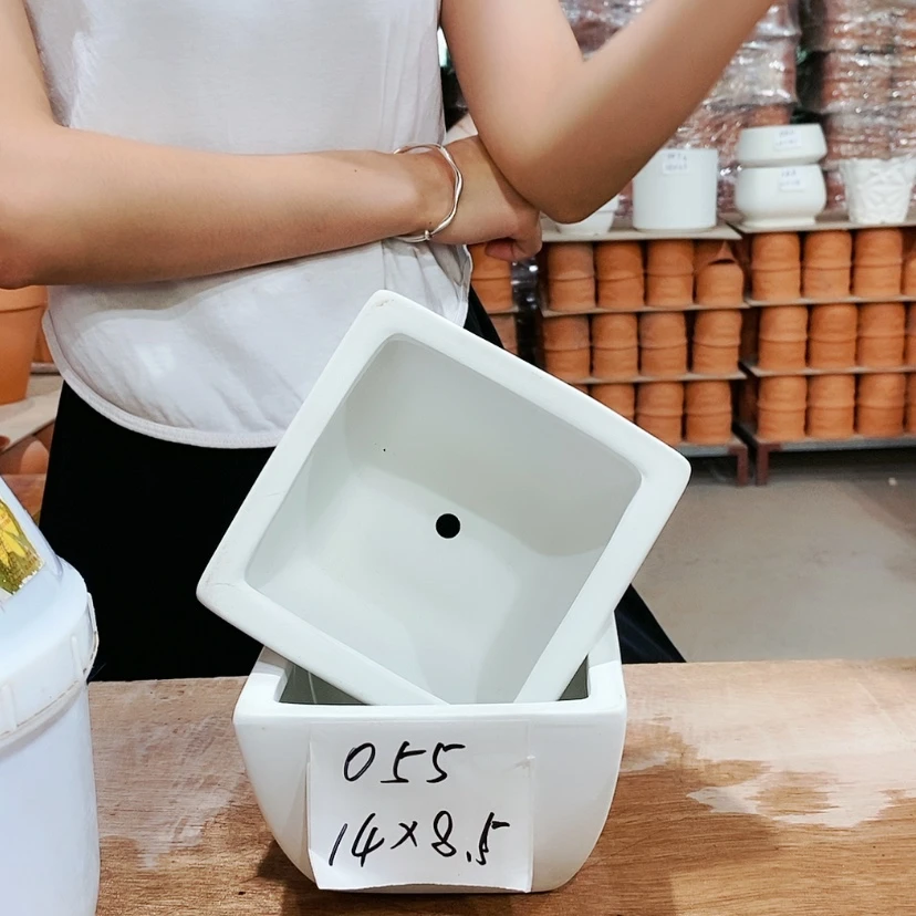 【闪购商品】红陶20CM以下055-2