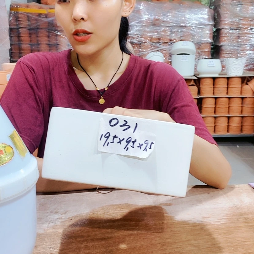 【闪购商品】红陶20CM以下031-1