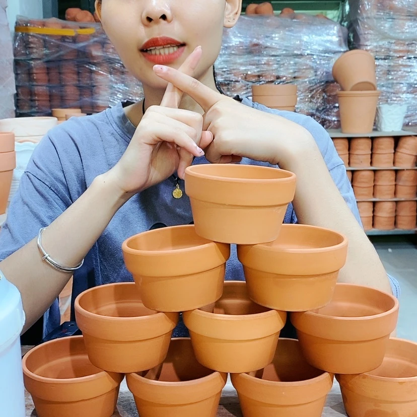 【闪购商品】红陶20CM以下2-9×6十个