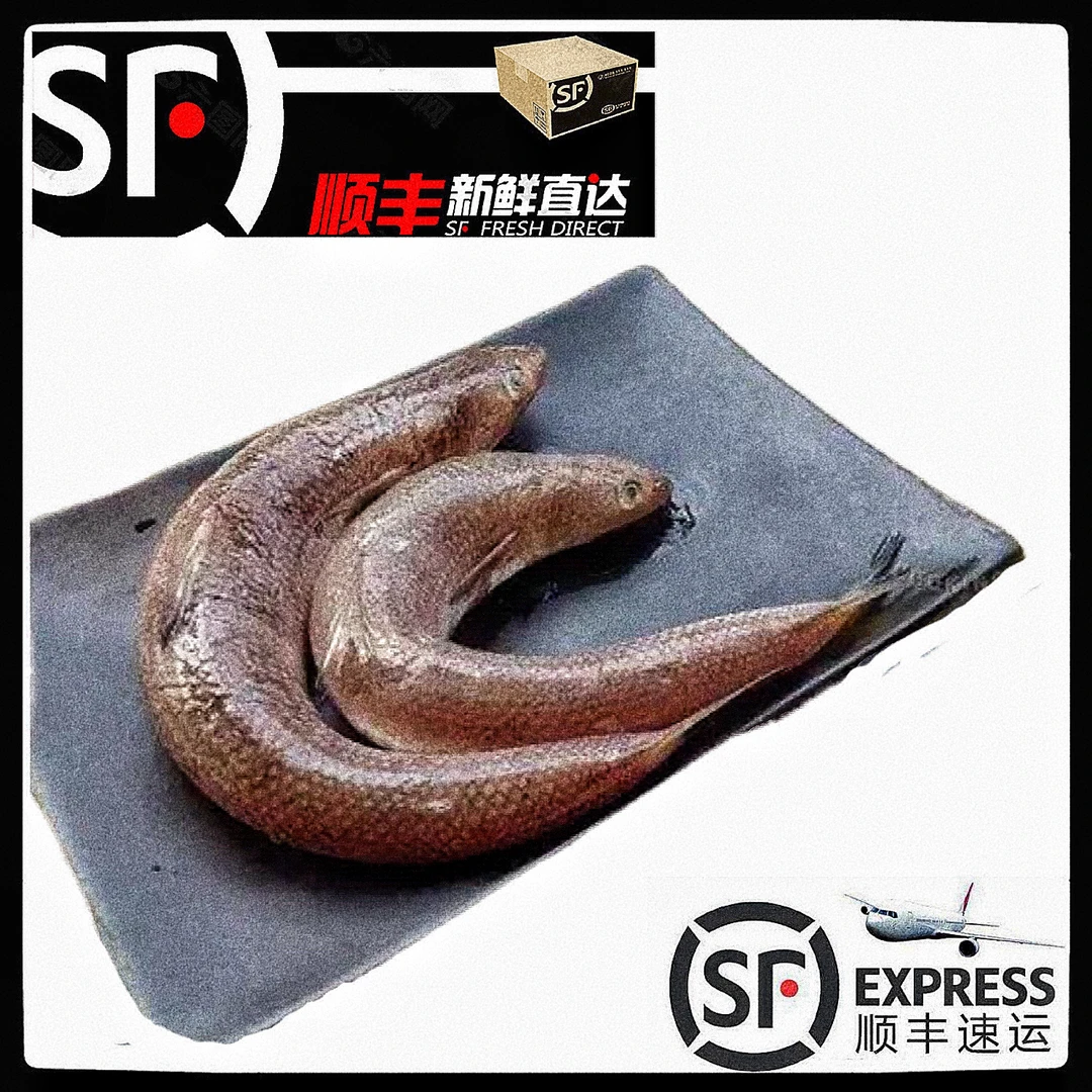 【那哥鱼】惠来神泉本港那哥鱼/南龙鱼【5盒】原产地顺丰冷链顺丰包邮