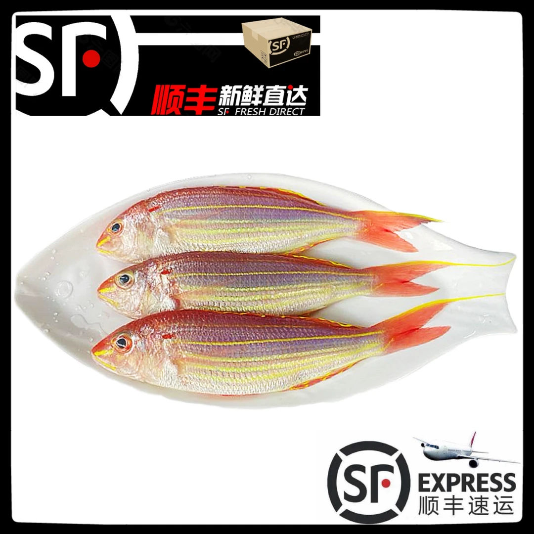 【金线/红杉鱼】惠来神泉金线/红杉鱼【5盒】新鲜野生速冻锁鲜原产地