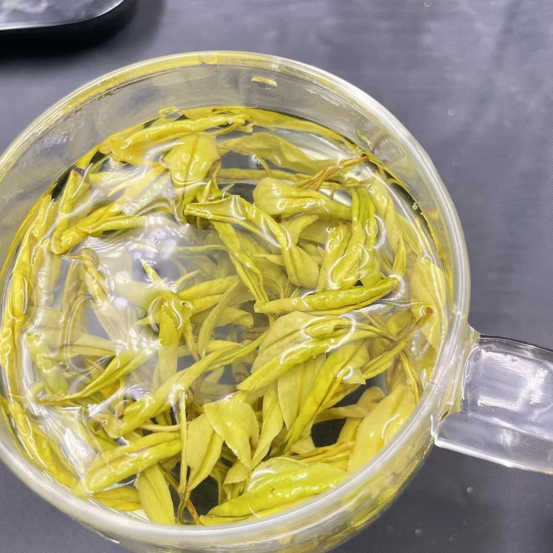 2024年【  168黄金芽 )黄金芽 原产地黄金叶 安吉黄金叶