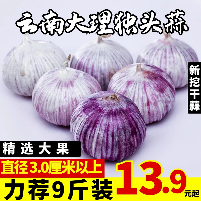 云南大理紫皮独头蒜5斤农家自种新挖鲜蒜头大蒜鲜蒜特大果包邮10