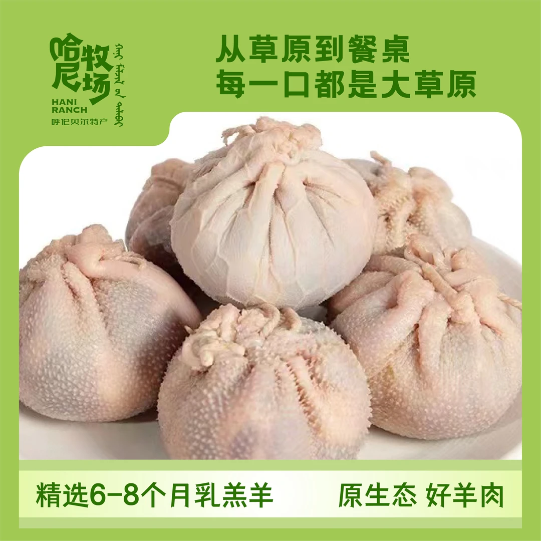 【安德路沙】内蒙古传统手工包制肚包肉