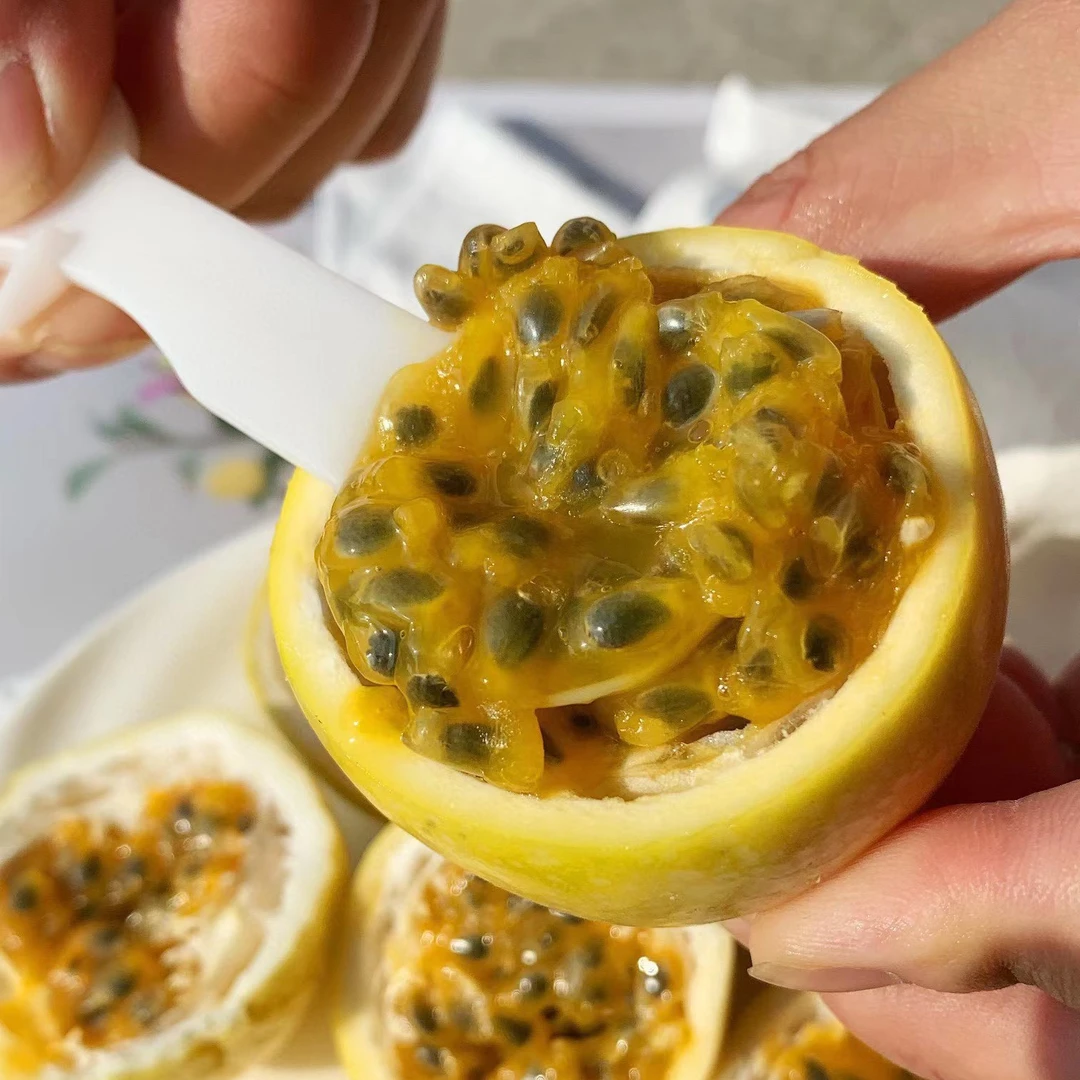 海南钦蜜9号黄金百香果三斤装 产地直发 坏果包赔【顺丰包邮】