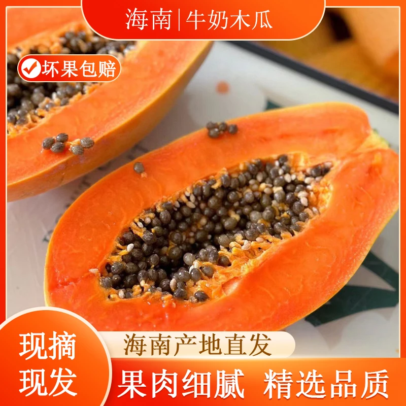 海南红心牛奶木瓜树上熟5/8斤装 顺丰产地直发
