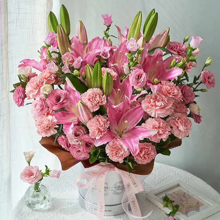 鲜花同城配送温馨常伴/鲜花抱抱桶-粉色康乃馨20枝生日送长辈朋友