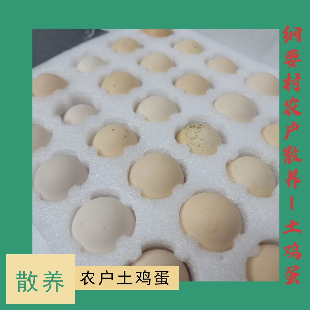 【农户散养鸡蛋】纲要村农家自家河边散养新鲜鸡蛋 农产品