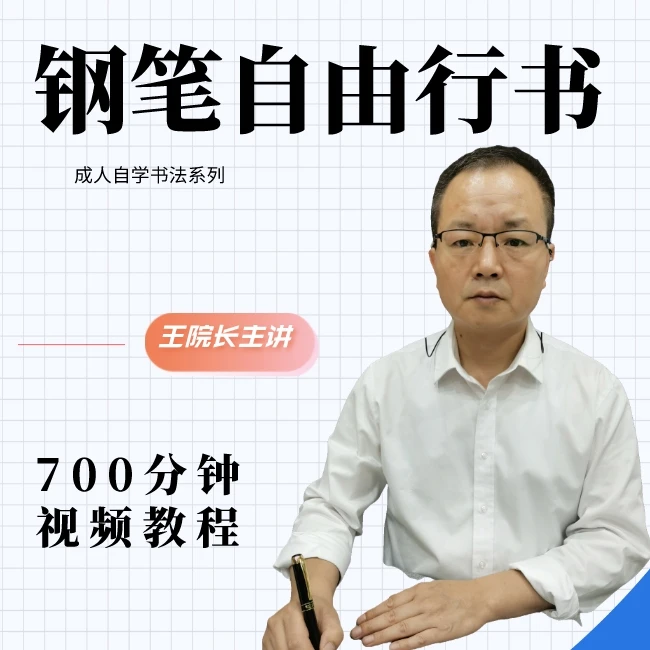 成人钢笔自由行书视频教程书法练字自学简明快学高清视频实用练字