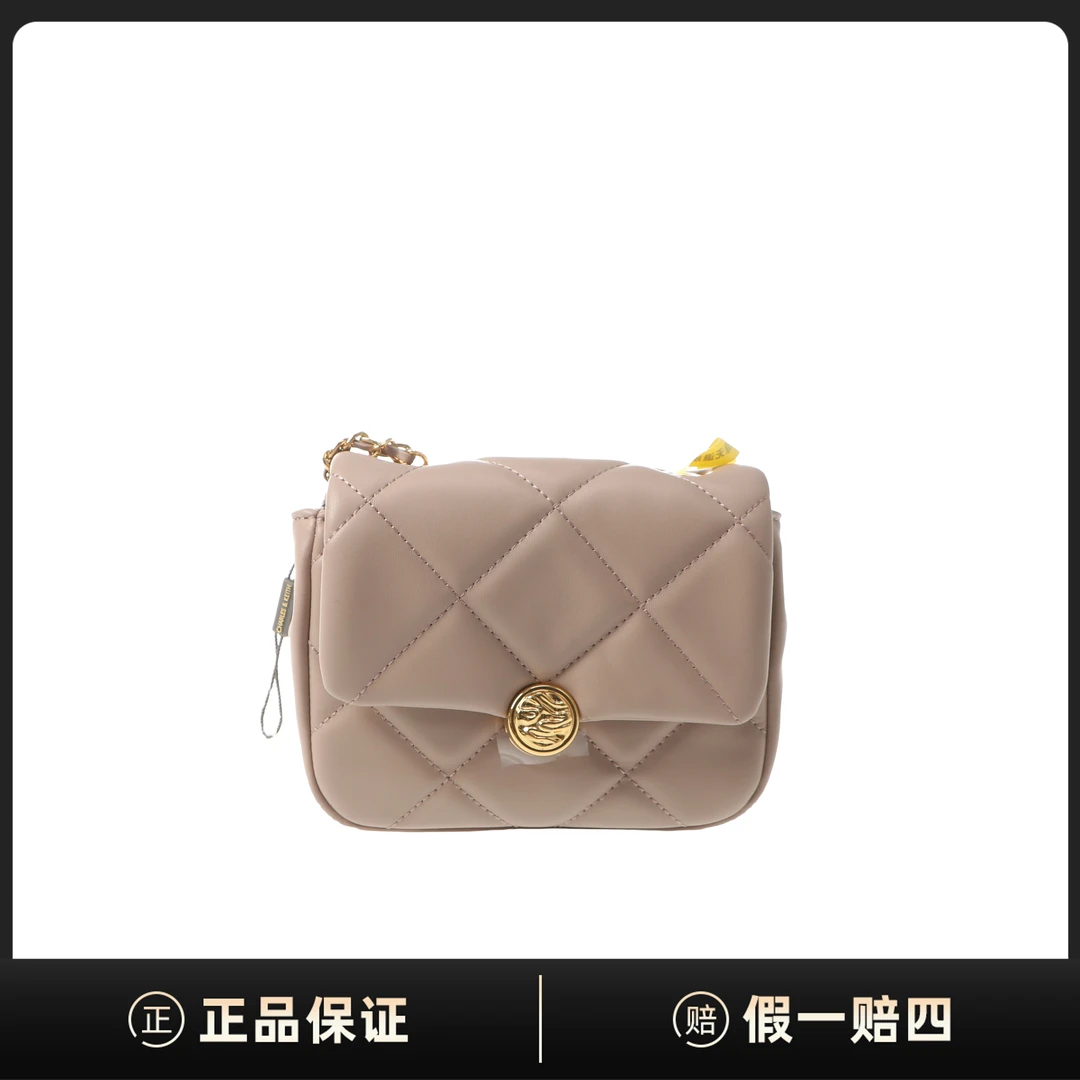 全新未使用 CHARLES & KEITH 斜挎包/16*11*5/DF00010