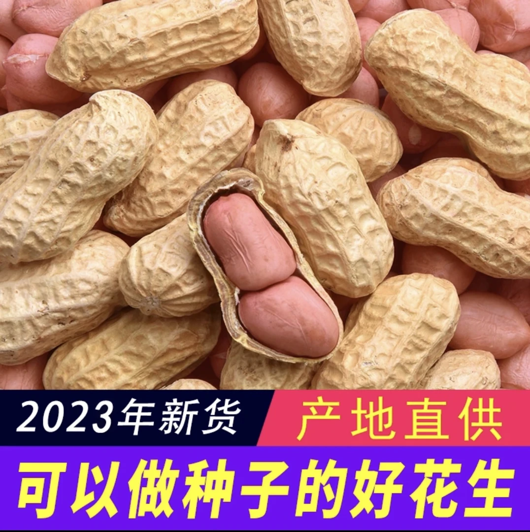 【新品冲量】带壳生花生2023年新晒0.5斤3斤5斤新鲜干花生种子包赔