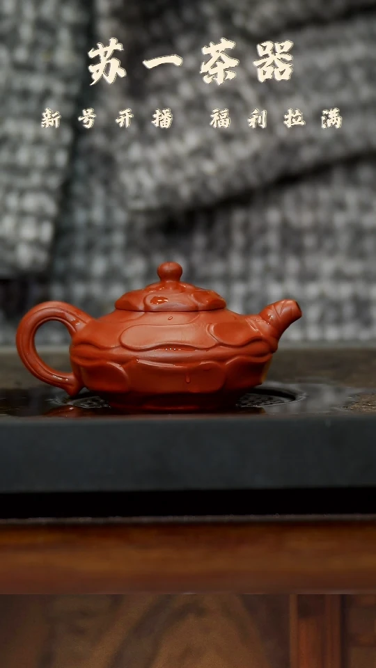 【闪购商品】紫砂茶壶22风卷葵  朱泥