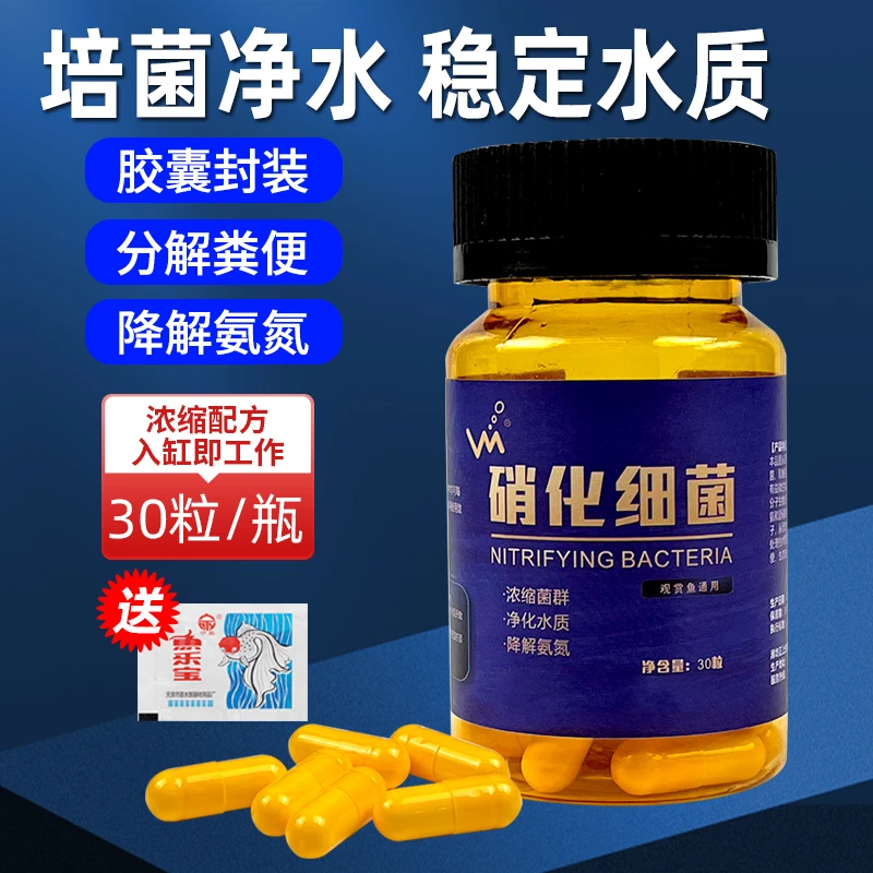 硝化细菌胶囊有益浓缩净水剂澄清水质消化细菌观赏鱼用品有益清理