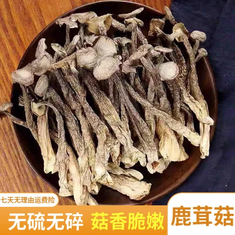 鹿茸菇菌菇干货鹿茸菌新货脆脆菇干菇煲汤蘑菇煲汤鲜嫩食用菌肉质
