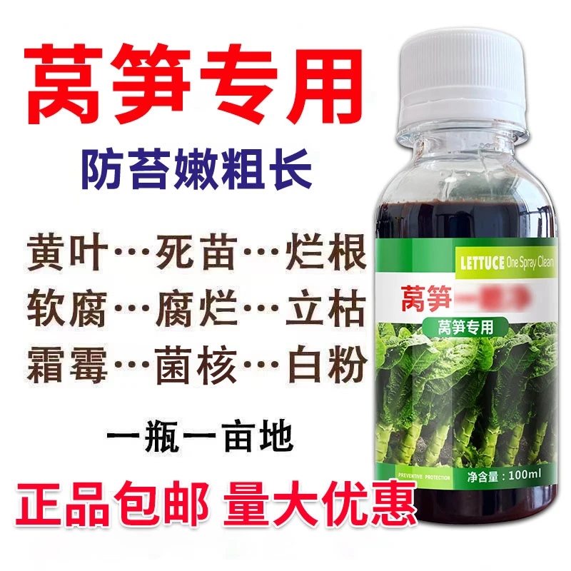 莴笋专用叶面肥莴笋膨大抗病抗倒增产防裂莴笋嫩粗壮