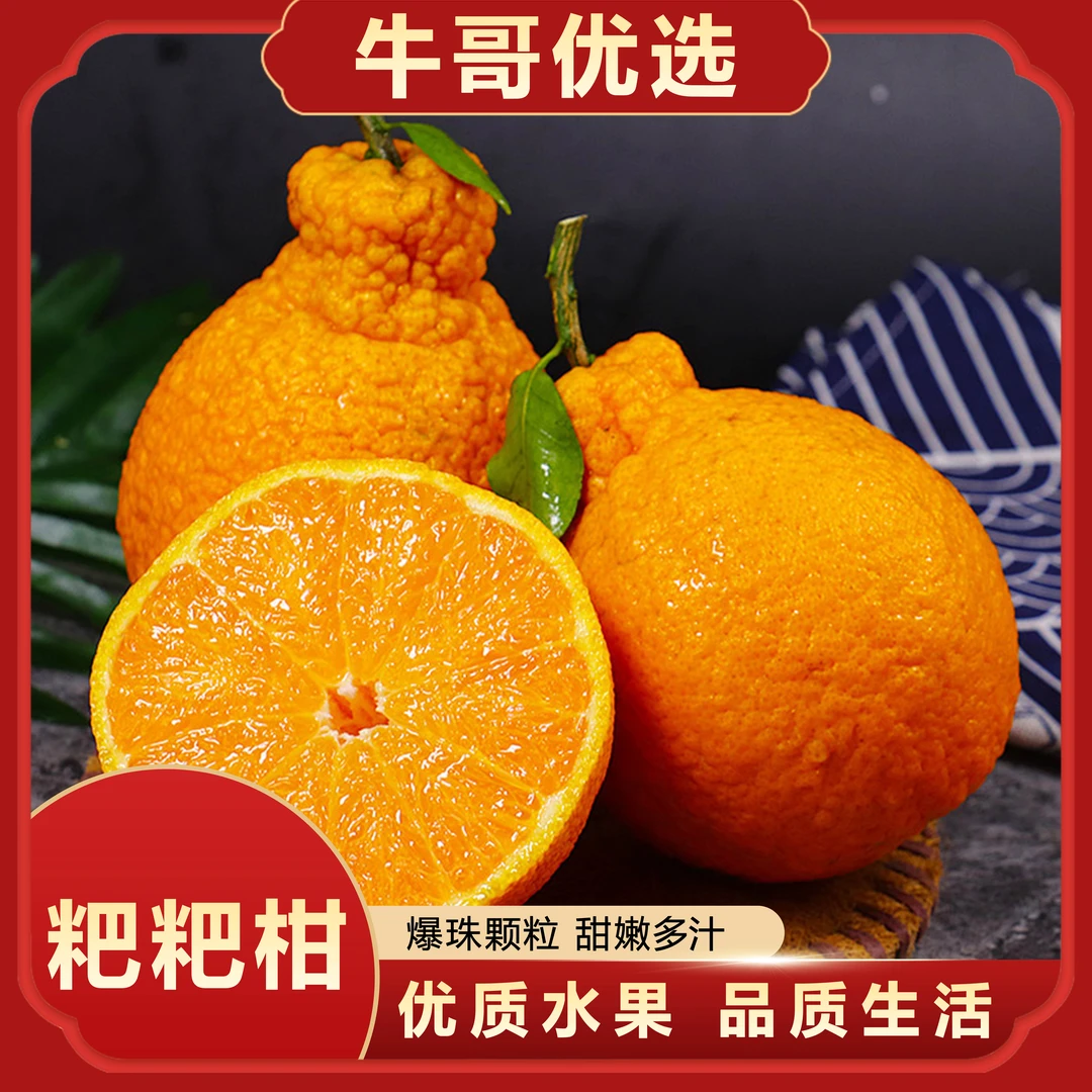 【整箱±5斤 年货送礼】春见耙耙柑礼盒