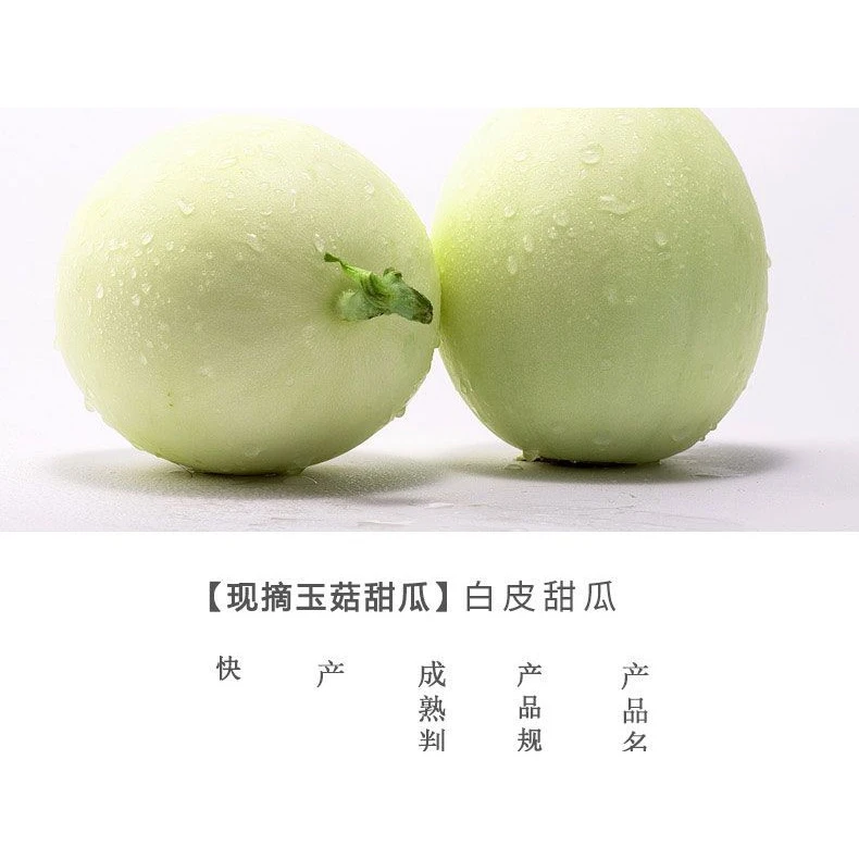 正宗玉菇冰激凌甜瓜蜜瓜新鲜水果当季玉茹食用口感细嫩大果3-9斤A