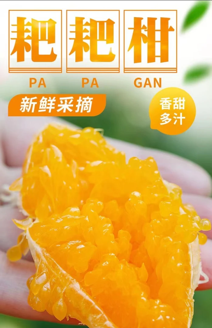 正宗四川春见耙耙柑新鲜采摘橘子爆浆当季3-9斤大果皮薄爽口多汁