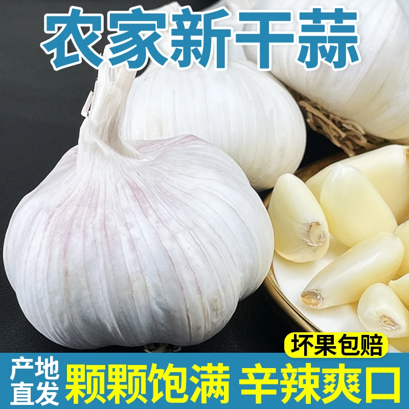 5斤2025农家自种新干蒜紫白皮大蒜头3斤可吃可种9斤